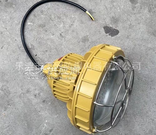 220wled防爆燈 固態(tài)免維護(hù)防爆led燈 廠(chǎng)家圖片